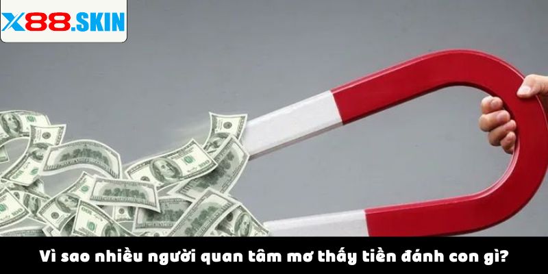 Vì sao nhiều người quan tâm mơ thấy tiền đánh con gì?